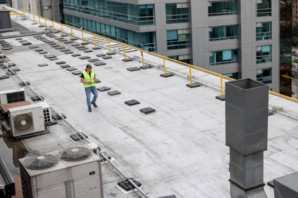 Best Roof Replacement  in Millville, DE