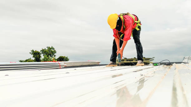 Best Roof Waterproofing  in Millville, DE