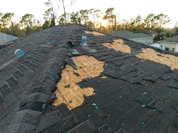 Professional Roofing Service in Millville, DE