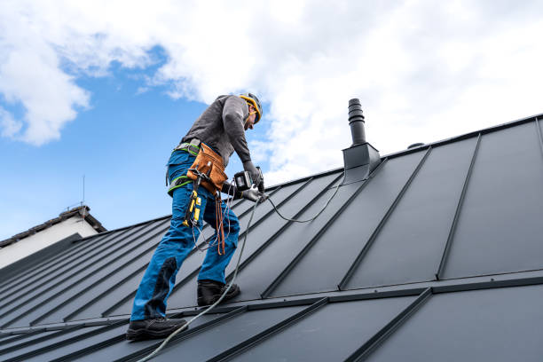 Best Roof Maintenance and Cleaning  in Millville, DE