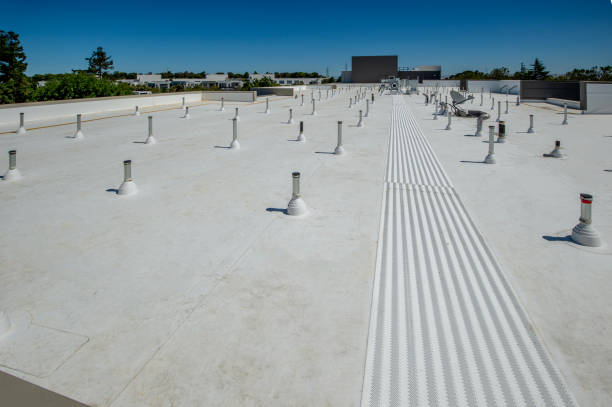 Best Emergency Roof Repair Services  in Millville, DE